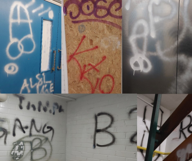 Photos of LibDem graffiti